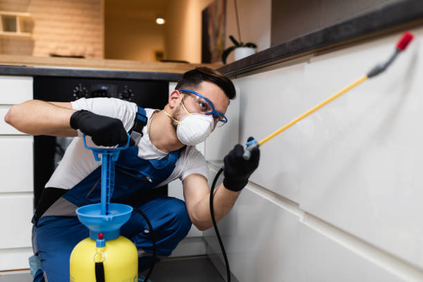 Best Wasp Removal Services  in Richfield Springs, NY