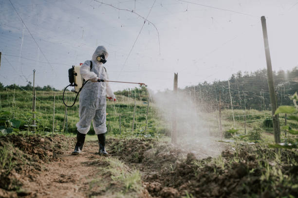 Best Best Pest Control Companies  in Richfield Springs, NY