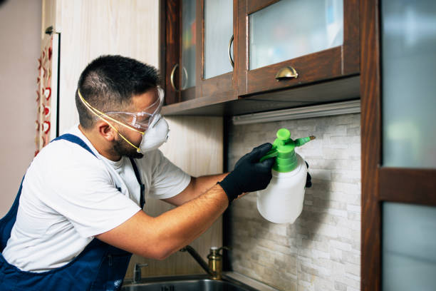 Best Wildlife Control Services  in Richfield Springs, NY