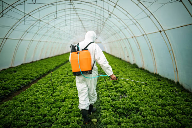 Best Affordable Pest Control Services  in Richfield Springs, NY