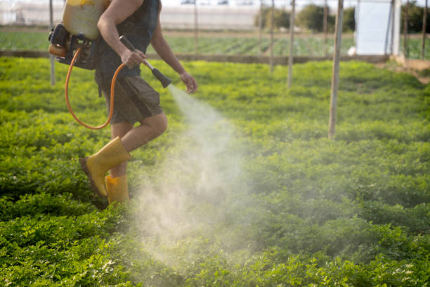 Best Pest Control for Homes  in Richfield Springs, NY
