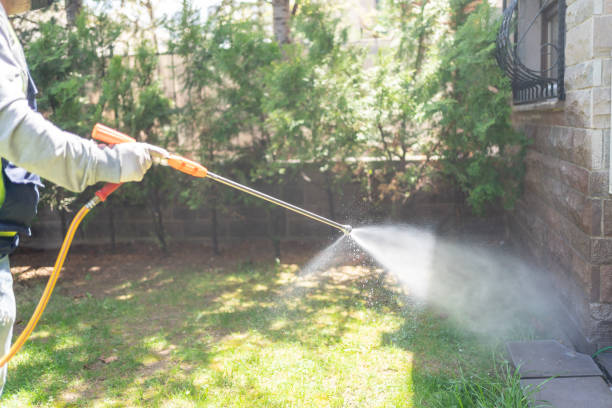 Best Spider Control Near Me  in Richfield Springs, NY