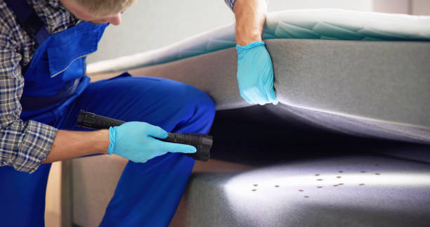 Best Exterminator Services  in Richfield Springs, NY