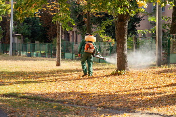 Best Pest Removal Services  in Richfield Springs, NY
