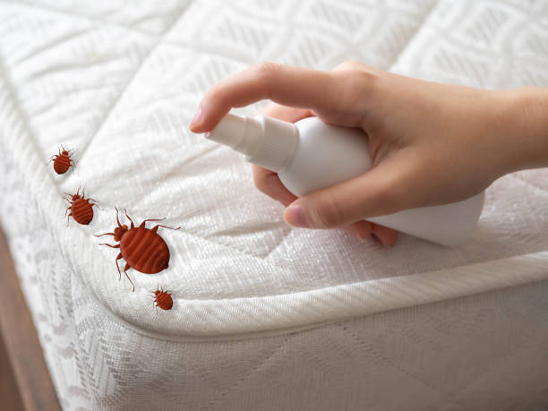 Best Residential Pest Control  in Richfield Springs, NY