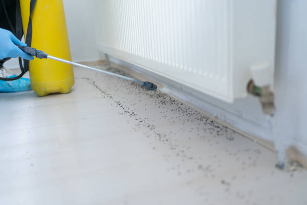 Richfield Springs, NY Pest Control Company